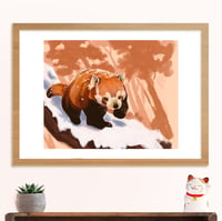 Image 1 of Red panda print