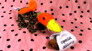 hermes the sabertooth ducko