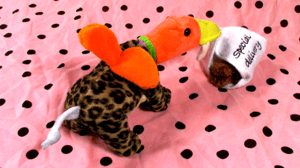 hermes the sabertooth ducko