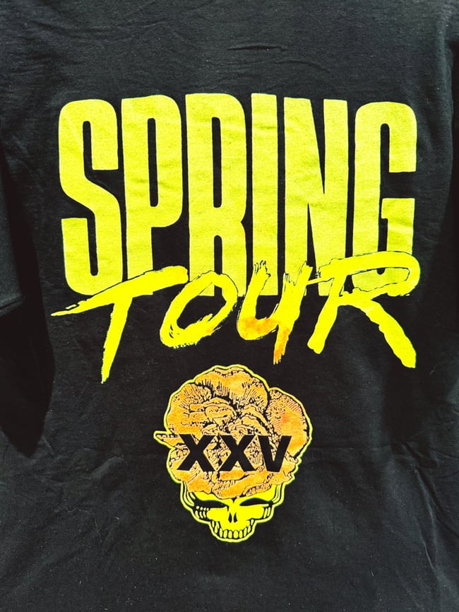 Grateful Dead 1990 Spring Tour Lot T-Shirt - Size L (slim/long)