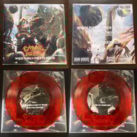 Image 1 of Carnal Decay-“When Push Comes to Shove” 7 inch vinyl 