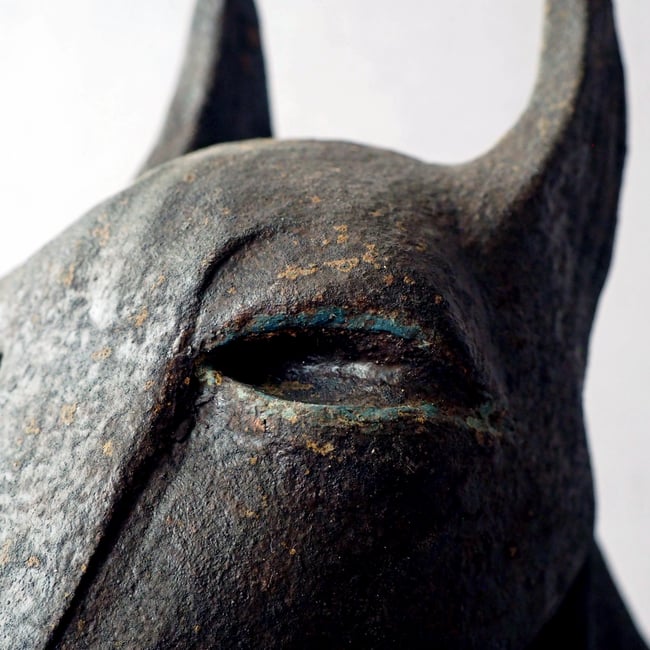 ANUBIS