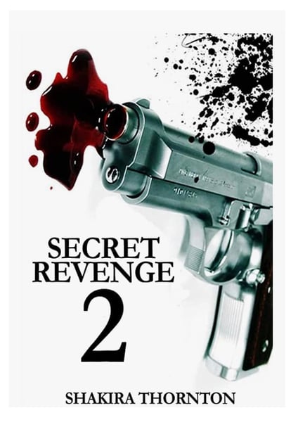 Image of Secret Revenge 2