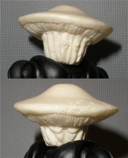 Image of Mushromeo, Two Faced Fungal Fighter Heads