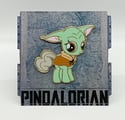 THE PADDYWAN PONY: Pindalorian Ponies Series Pin #1 
