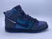 Image of NIKE DUNK HIGH PRO QS