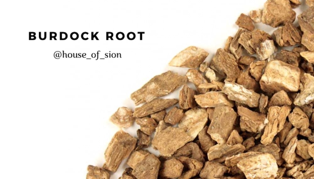 Image of Organic  Burdock Root