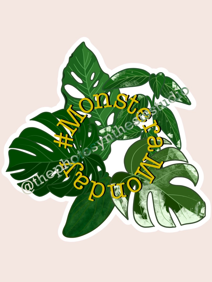 Image of Monstera Monday Sticker