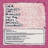 Purple Hell - Debut CD