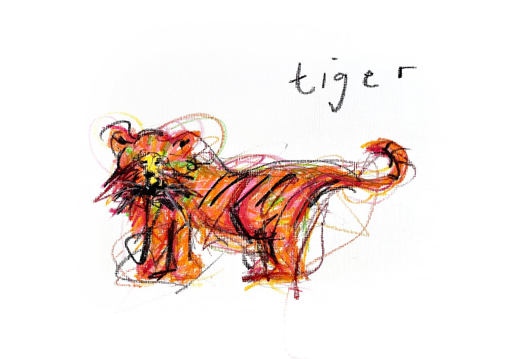 Image of MR TIGER PRINT