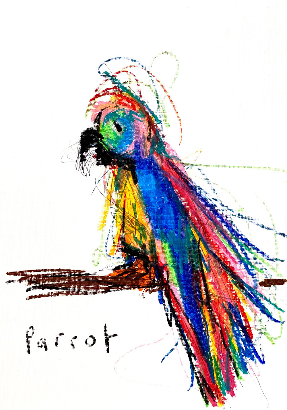 Image of MR PARROT PRINT
