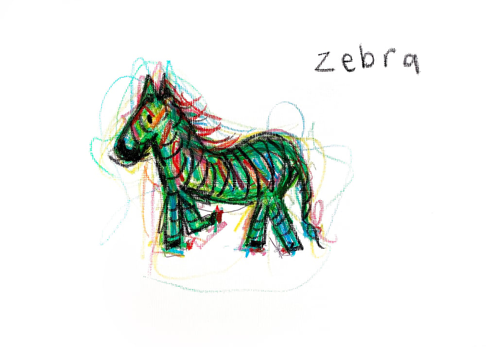 Image of MR ZEBRA PRINT