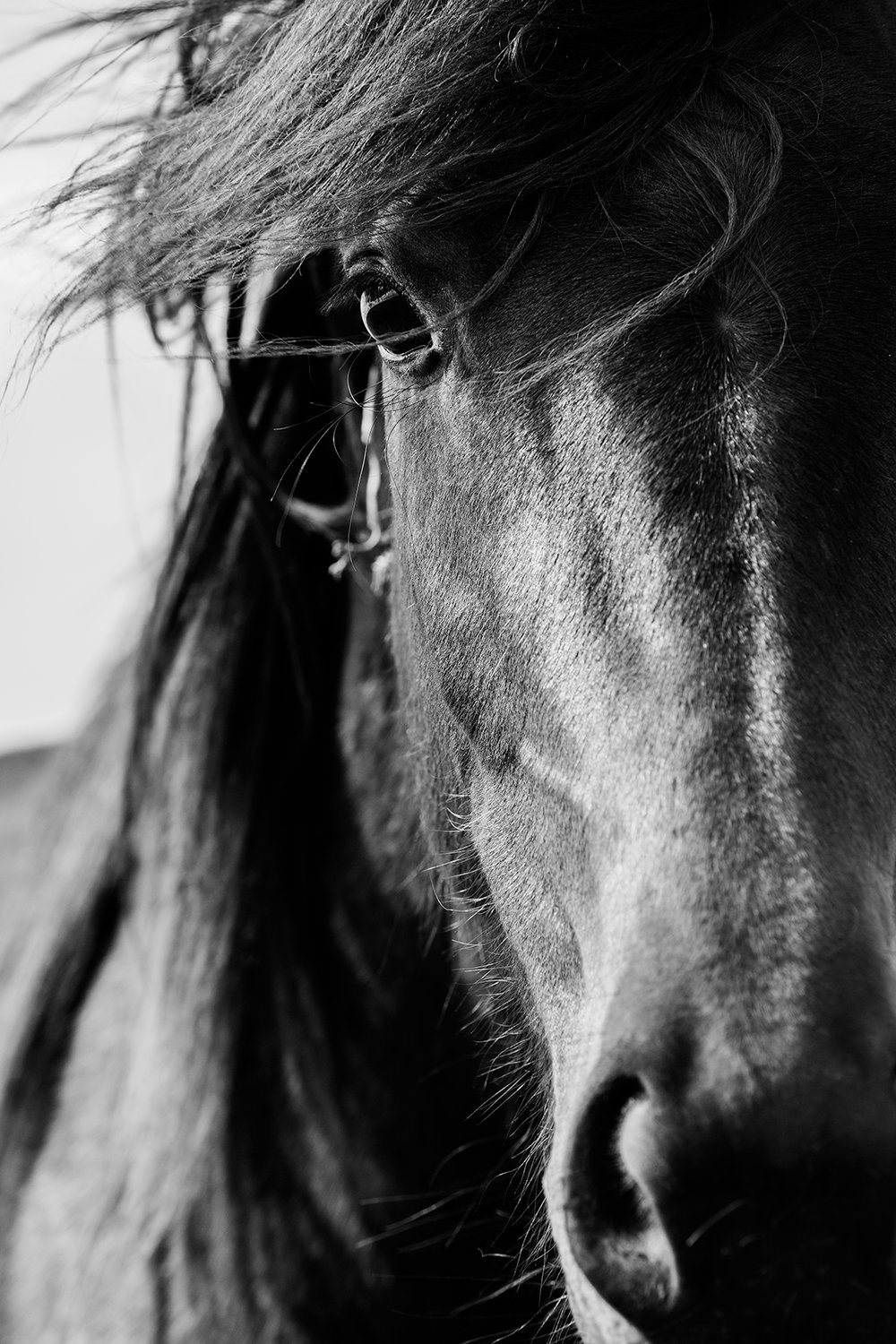 Image of Close up (BW)