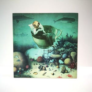 Image of Gran Barrera de Coral