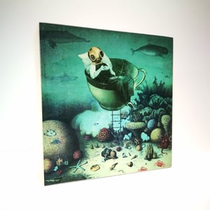 Image of Gran Barrera de Coral