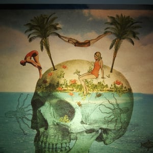 Image of Isla Calavera