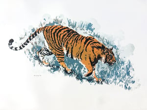 'Tiger!' linocut print
