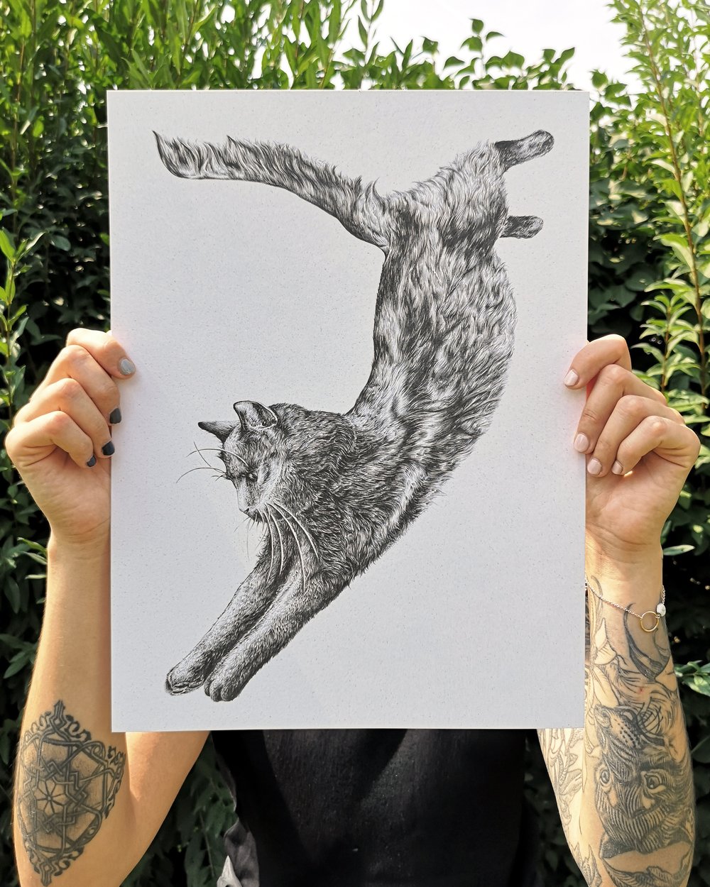 Jumping Cat