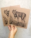 Maned Wolf on recycled brown