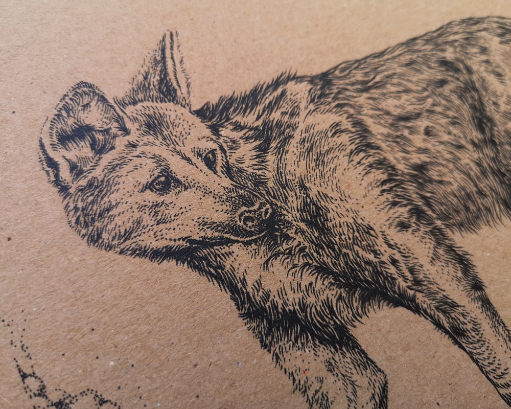Maned Wolf on recycled brown