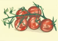 Tomatoes (2). 
