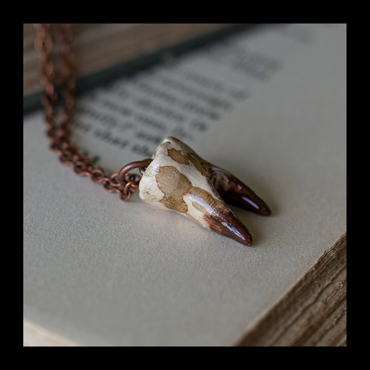 PRE-ORDER: Coffee Stained 2-Root Tooth Necklace on Copper Chain