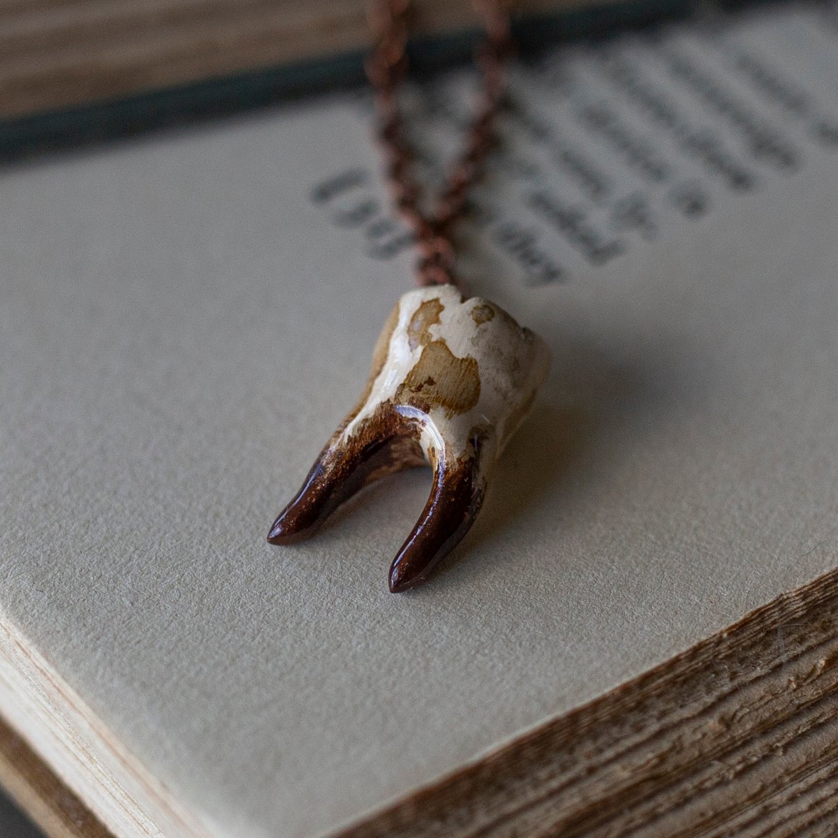 PRE-ORDER: Coffee Stained 2-Root Tooth Necklace on Copper Chain