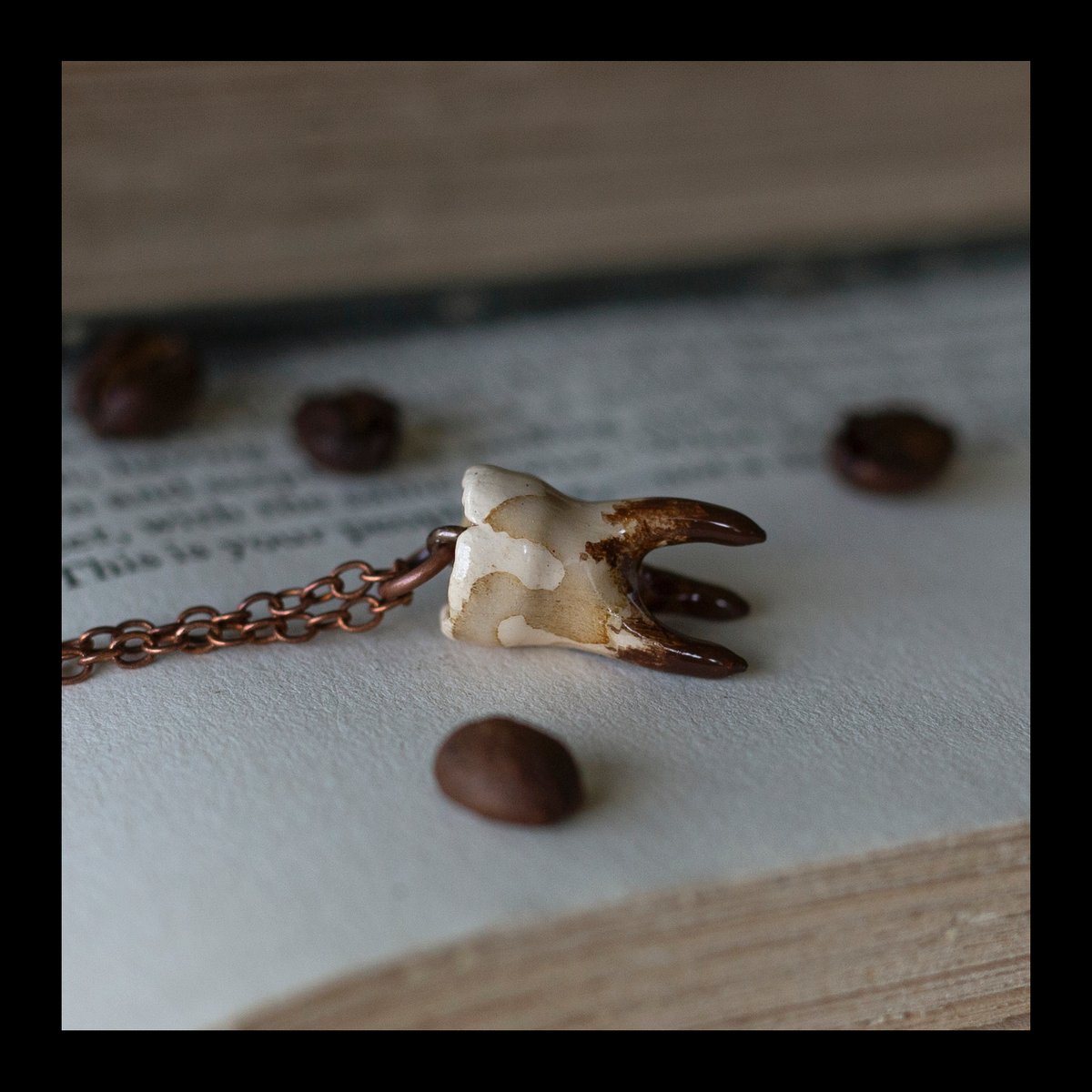 PRE-ORDER: Coffee Stained 3-Root Tooth Necklace on Copper Chain