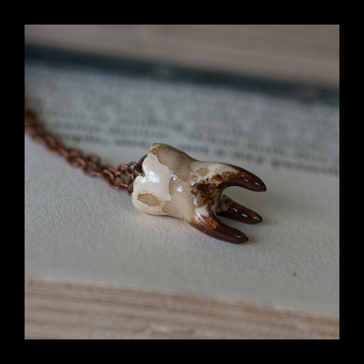 PRE-ORDER: Coffee Stained 3-Root Tooth Necklace on Copper Chain