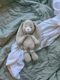 Image 5 of Beck the Bunny