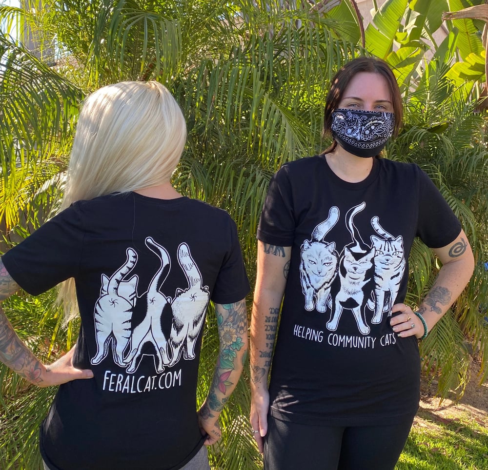 Image of Helping Community Cats