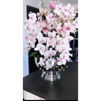 Image 2 of NEW - pink and white multi stem orchid