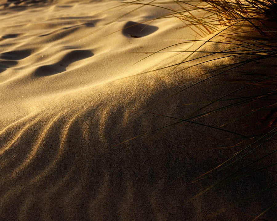 Image of DUNES # 1