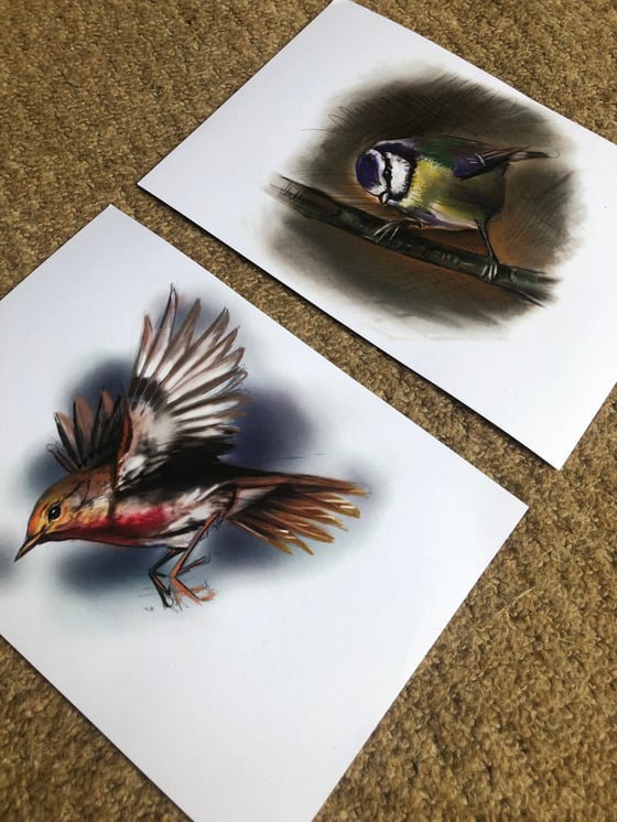 Image of Robin and blue tit print pair. 