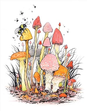 Image of mushrooms 11x14 in print W/FREE SHIPPING