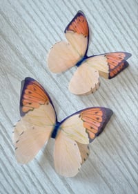 Image 3 of Orange blossom (set of 2)