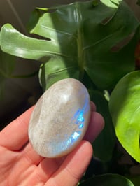 Image 3 of Moonstone Palm Crystal (8)