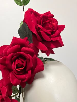 Image of Red, red roses
