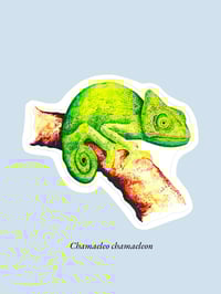 Image 23 of Stickers