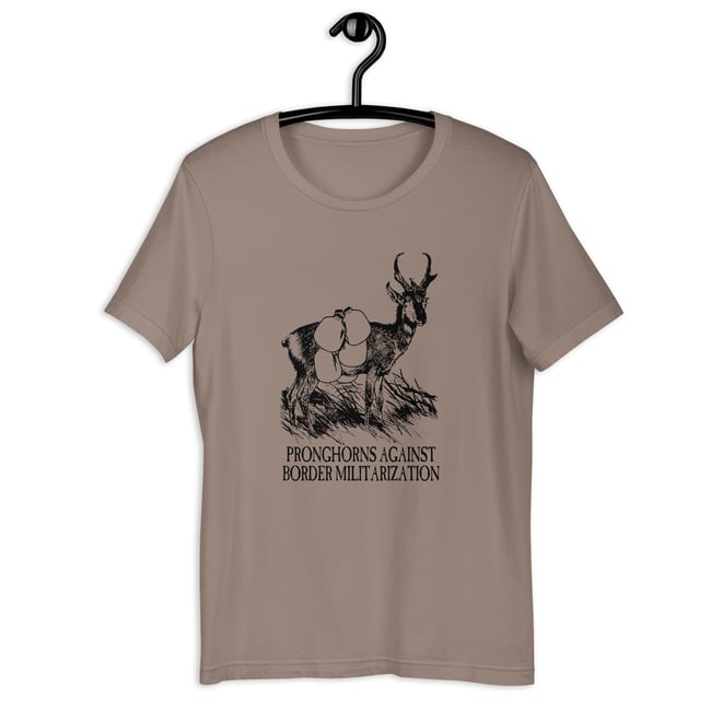 Pronghorns against - more colors