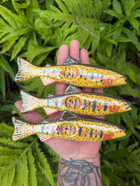 Cutthroat Trout 2