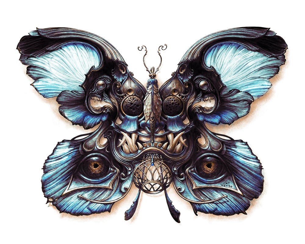 Image of Lepidoptera  4 & 5