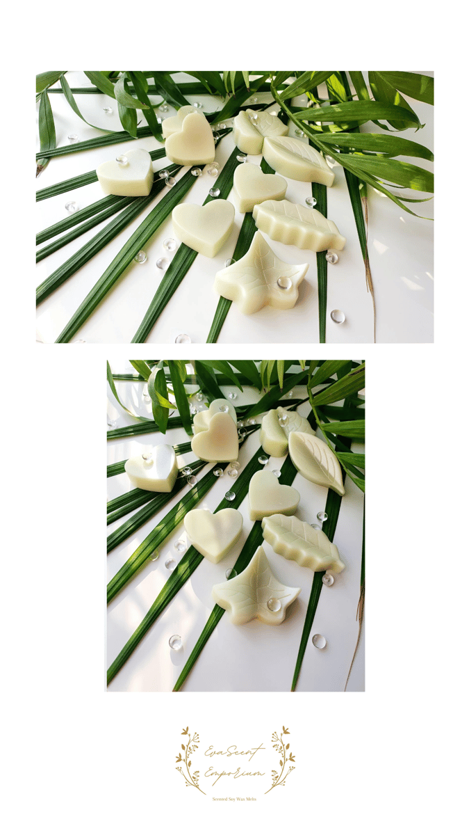 Amazon Rain Scented Wax Melts EvaScent Emporium