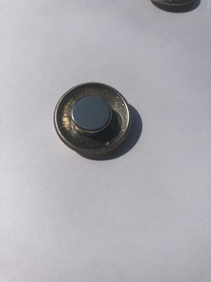 Image of Half dollar magnets