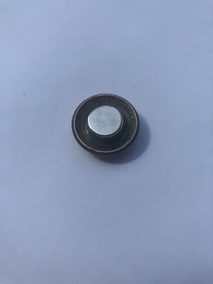 Image of Half dollar magnets