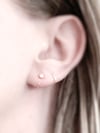 Shorty Hoops
