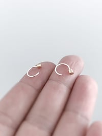 Image 5 of Shorty Hoops