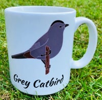 Grey Catbird Mug
