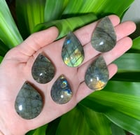 Labradorite Teardrop Cabochons