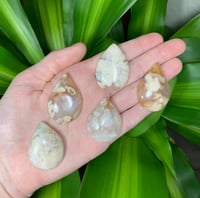 Flower Agate Teardrop Cabochons